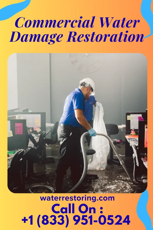 Commercial Water Damage Restoration in Sublette, IL