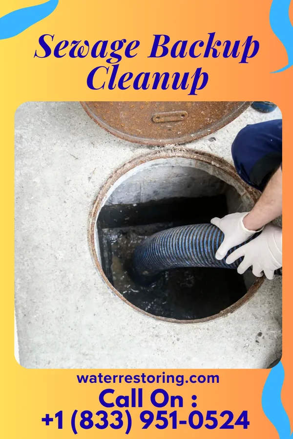 Sewage Backup Cleanup in Sublette, IL