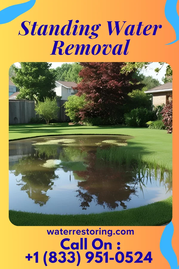 Standing Water Removal in Sublette, IL